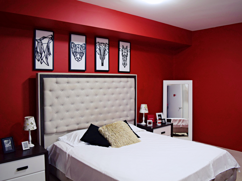 Modele online cu experienta sau fara