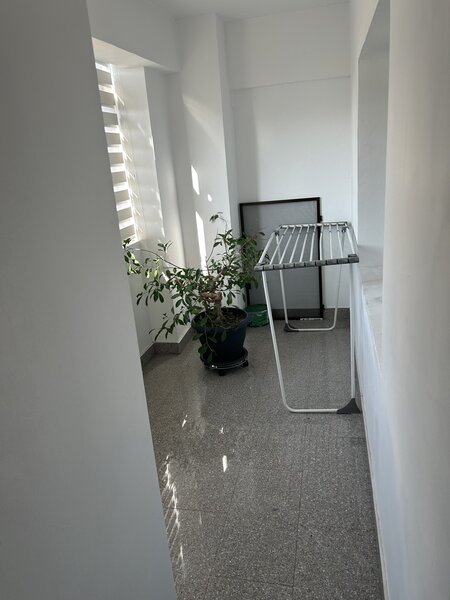 Modele online cu experienta sau fara